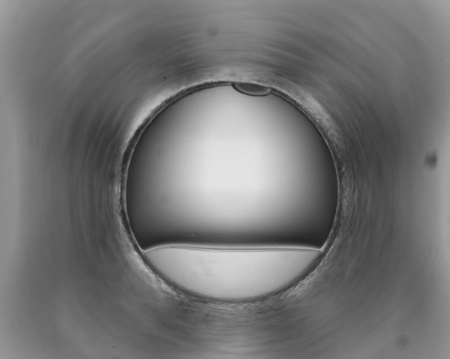 X0000090710896200707200949