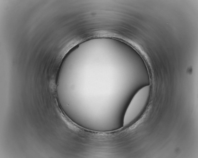 X0000090710897200707200949