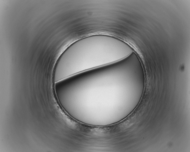 X0000090710898200707200949