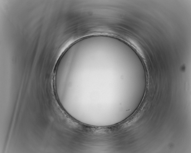X0000090710899200707200949