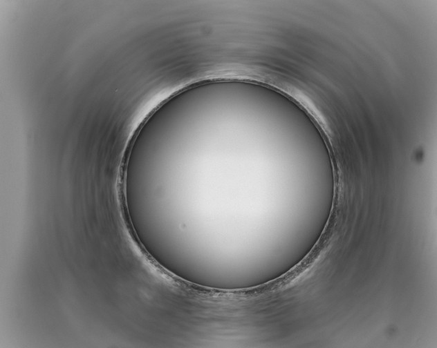 X0000090710901200707200949