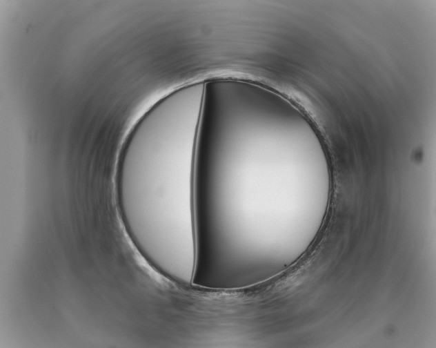 X0000090710902200707200949
