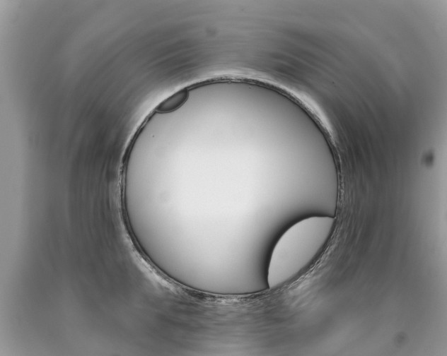 X0000090710903200707200949