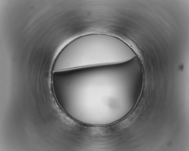 X0000090710904200707200949