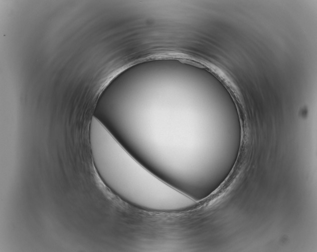 X0000090710905200707200949