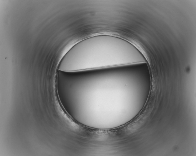 X0000090710906200707200949