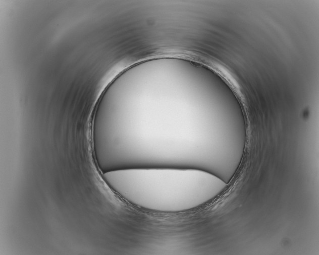 X0000090710907200707200949