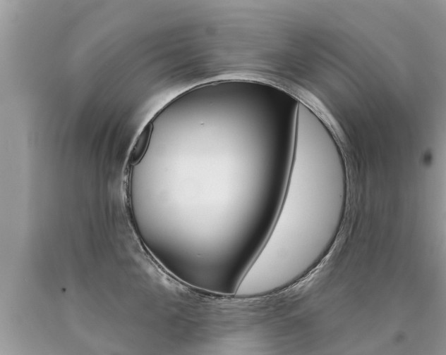 X0000090710908200707200949