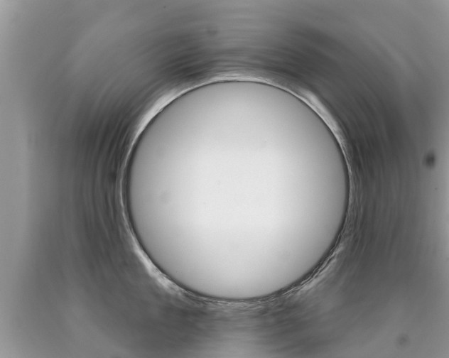 X0000090710909200707200949