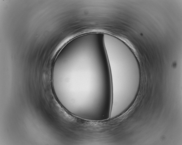 X0000090710910200707200949