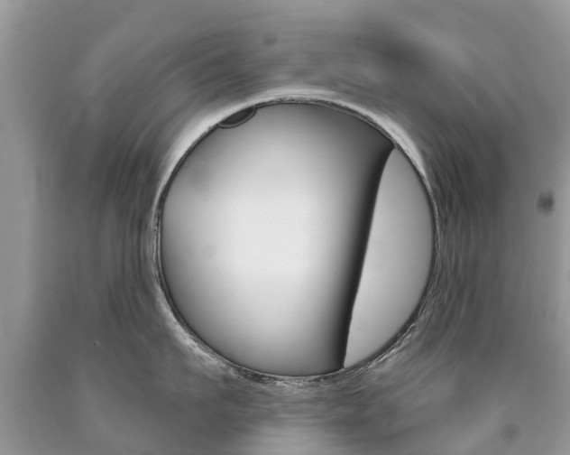 X0000090710911200707200949