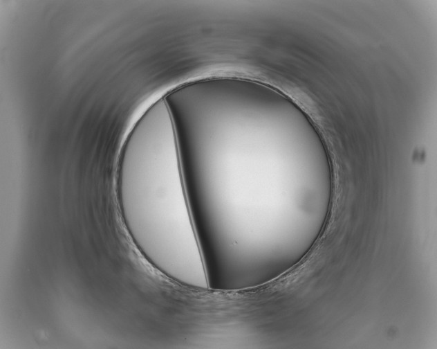 X0000090710912200707200949