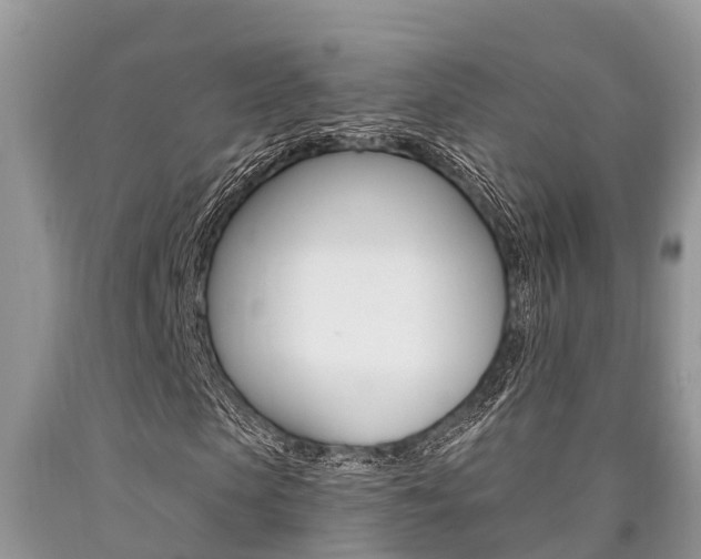 X0000090710913200707200948