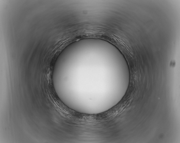 X0000090710914200707200948