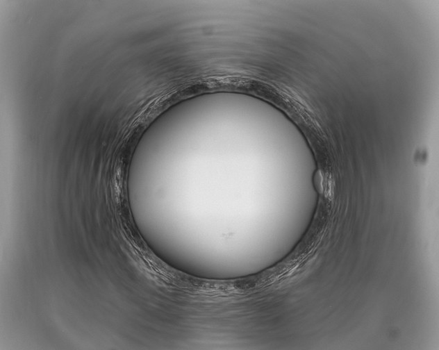 X0000090710915200707200948
