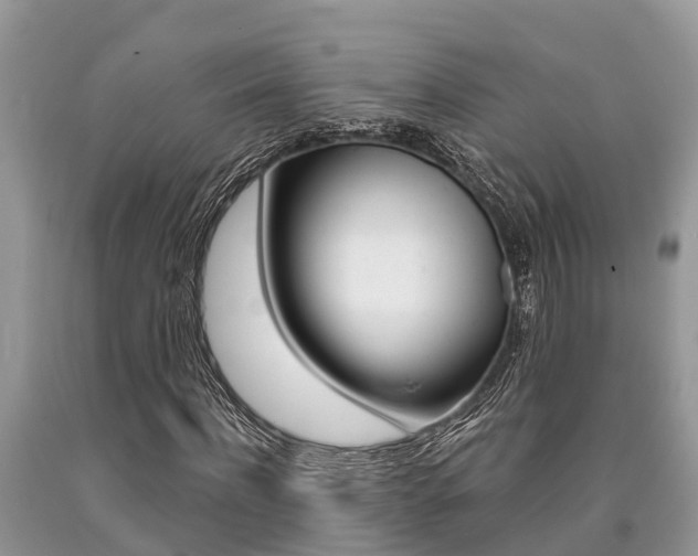 X0000090710916200707200948