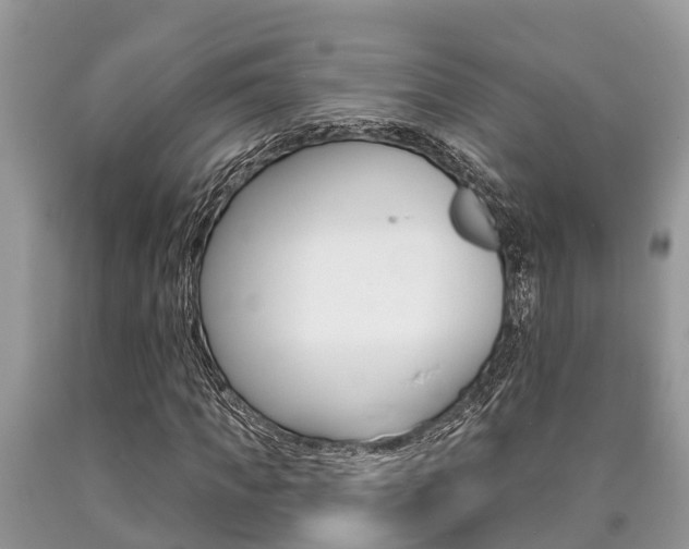 X0000090710917200707200948