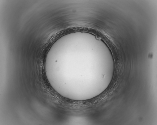 X0000090710918200707200948