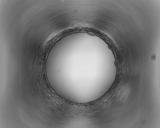 X0000090710919200707200948