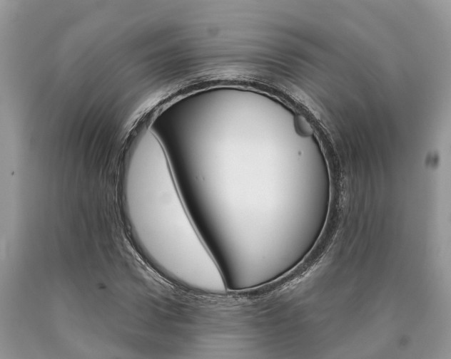 X0000090710922200707200948