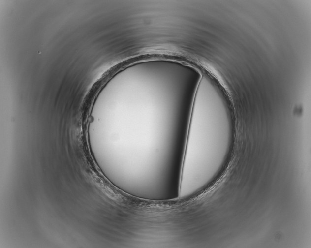 X0000090710923200707200948