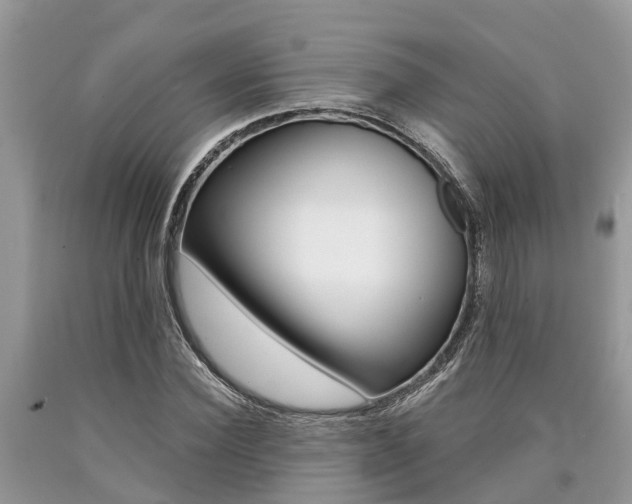 X0000090710924200707200948
