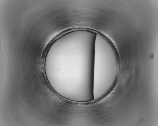 X0000090710925200707200948