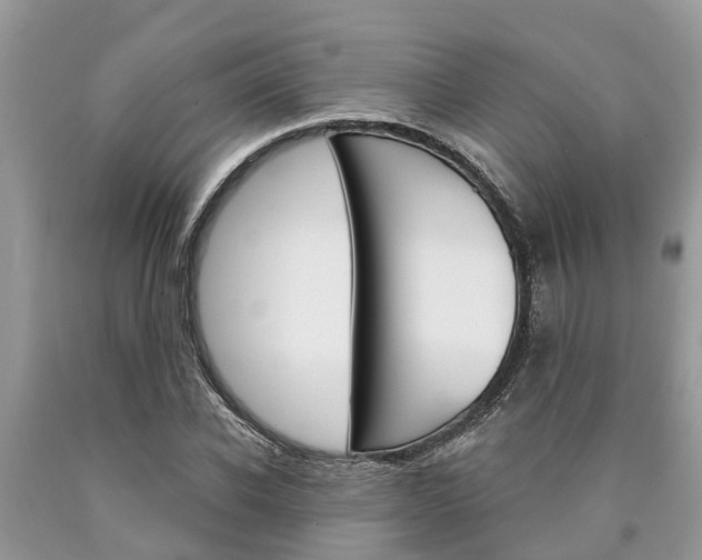 X0000090710926200707200948
