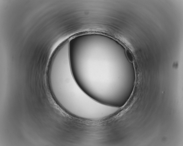 X0000090710928200707200948