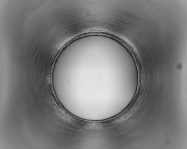 X0000090710929200707200948