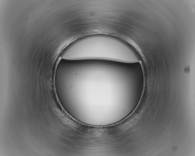 X0000090710930200707200948