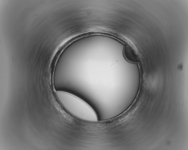 X0000090710931200707200948