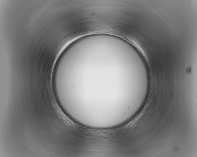 X0000090710932200707200948