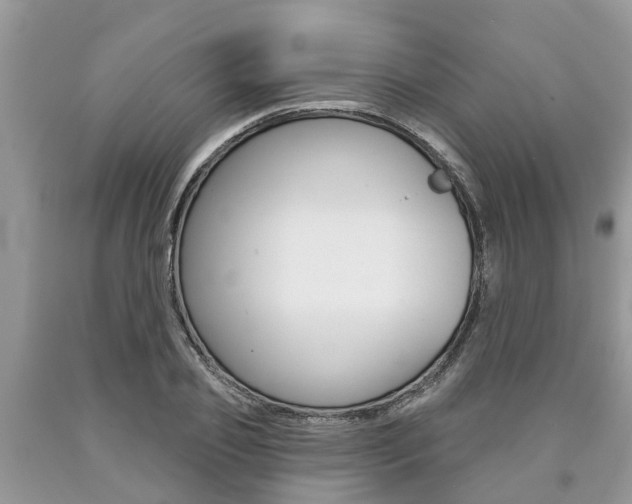 X0000090710933200707200948