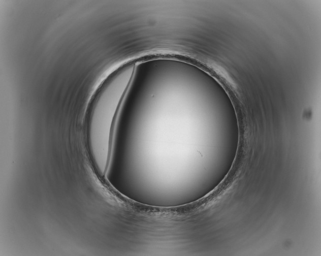 X0000090710934200707200948