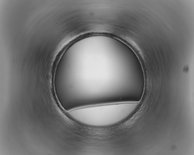 X0000090710935200707200948