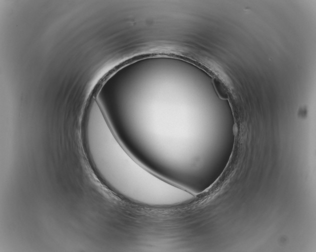 X0000090710936200707200948