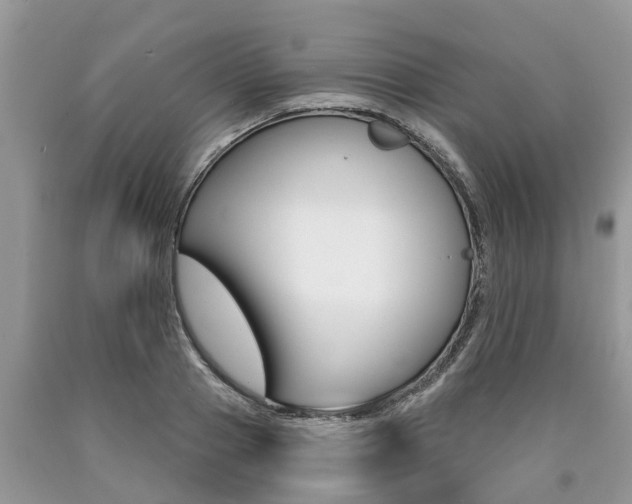 X0000090710937200707200948