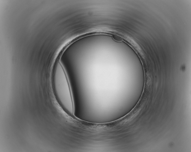 X0000090710939200707200948