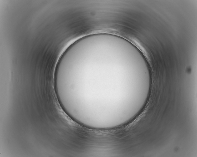 X0000090710940200707200948
