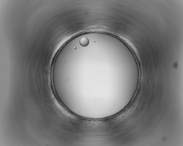 X0000090710941200707200948
