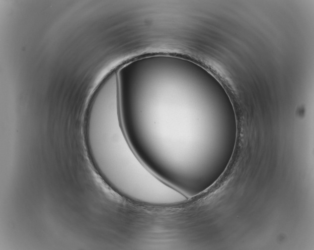 X0000090710942200707200948