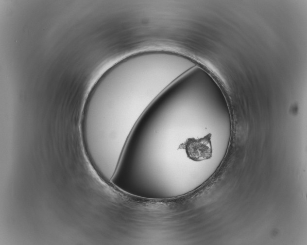 X0000090710943200707200948