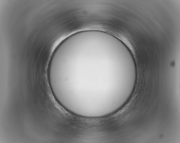 X0000090710944200707200948