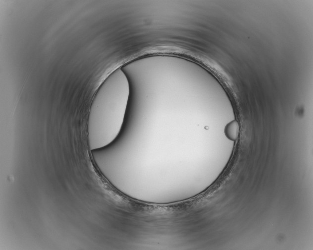 X0000090710945200707200948