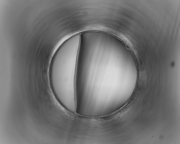 X0000090710947200707200948