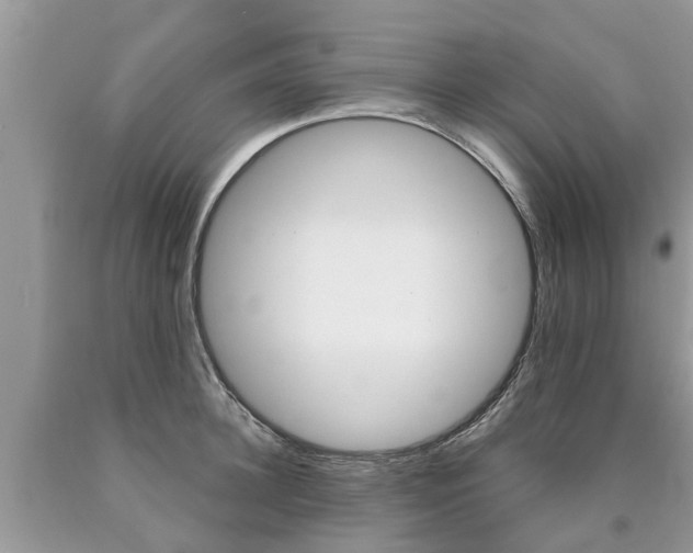 X0000090710948200707200948