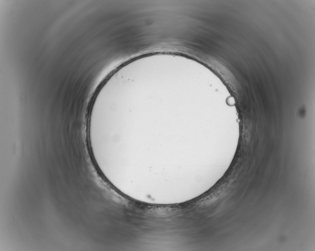 X0000090710950200707200948