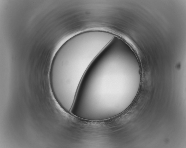 X0000090710951200707200948