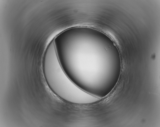 X0000090710952200707200948